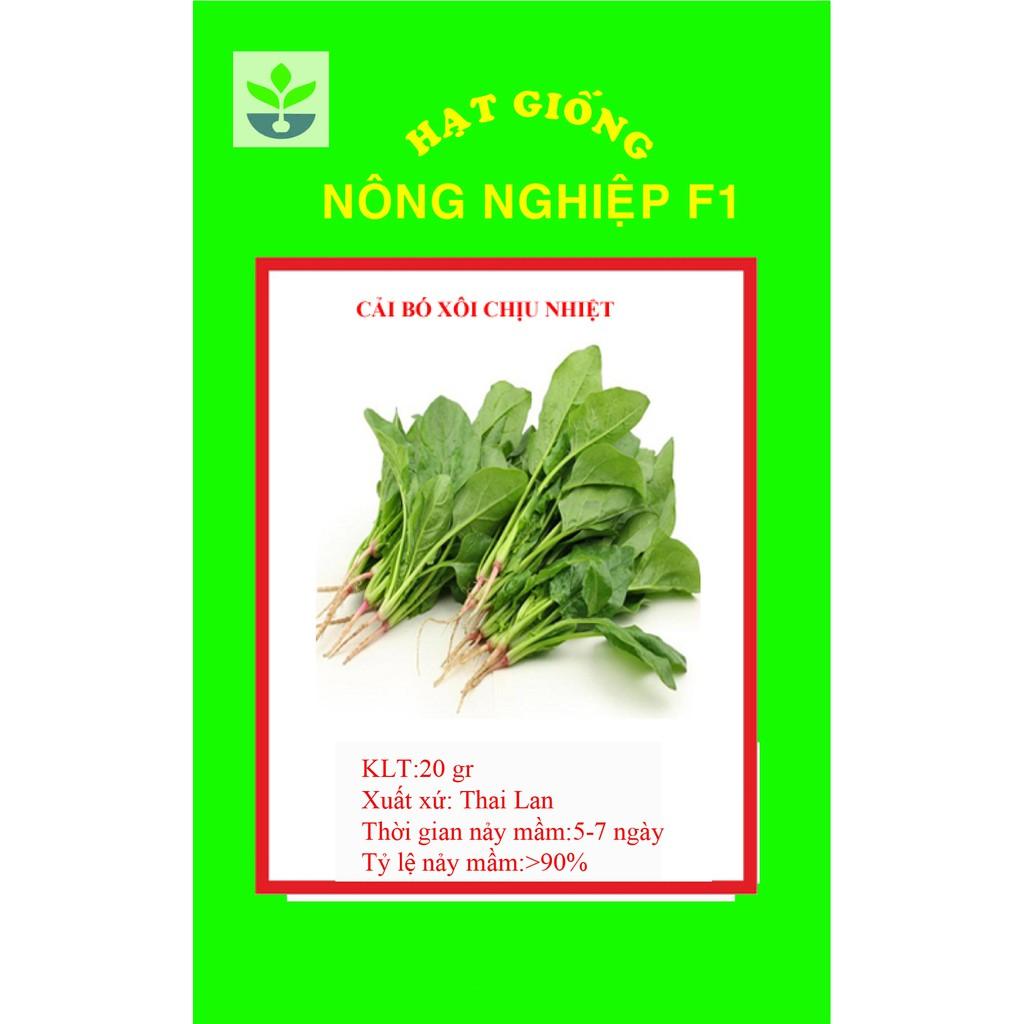 Gói 10 gr hạt giống cải bó xôi