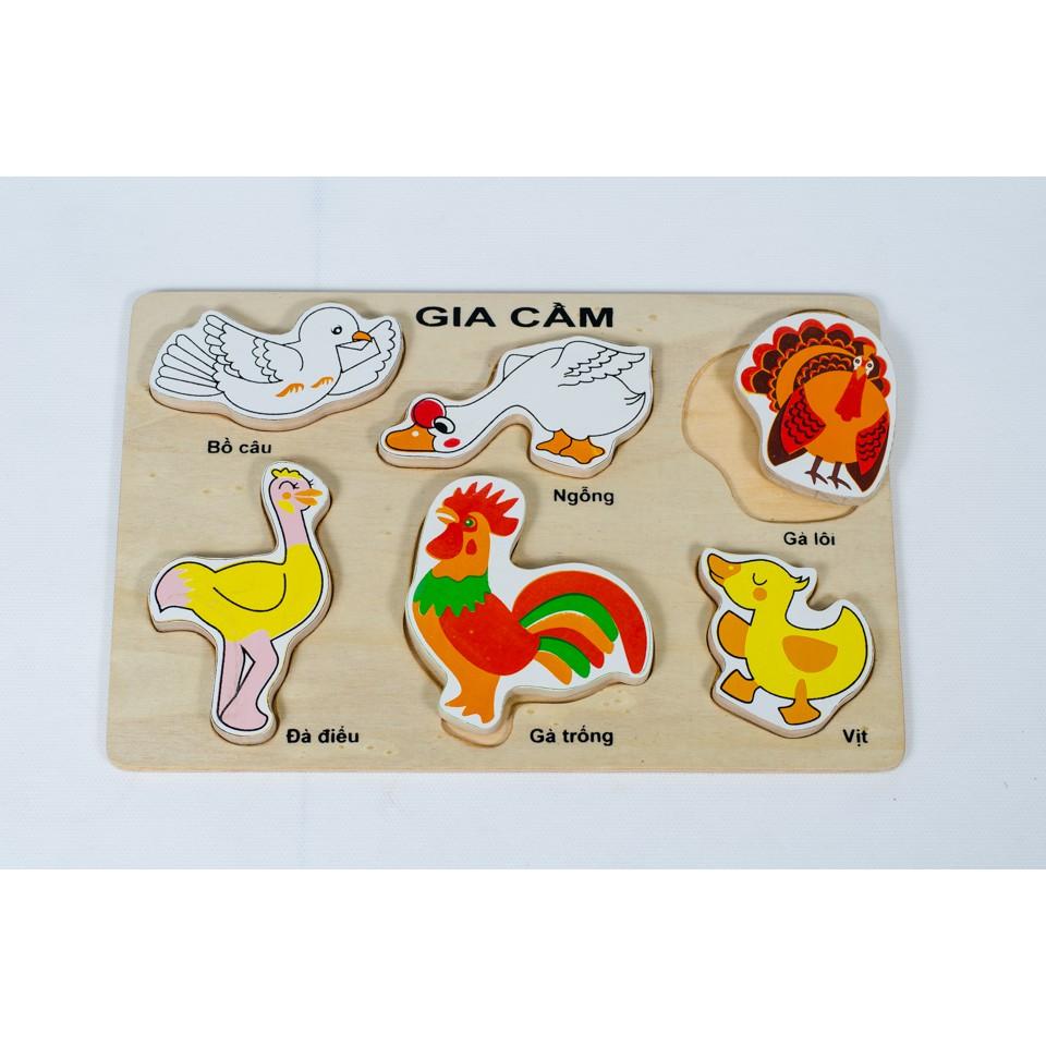 Bảng nhận hình các loại gia cầm bằng gỗ