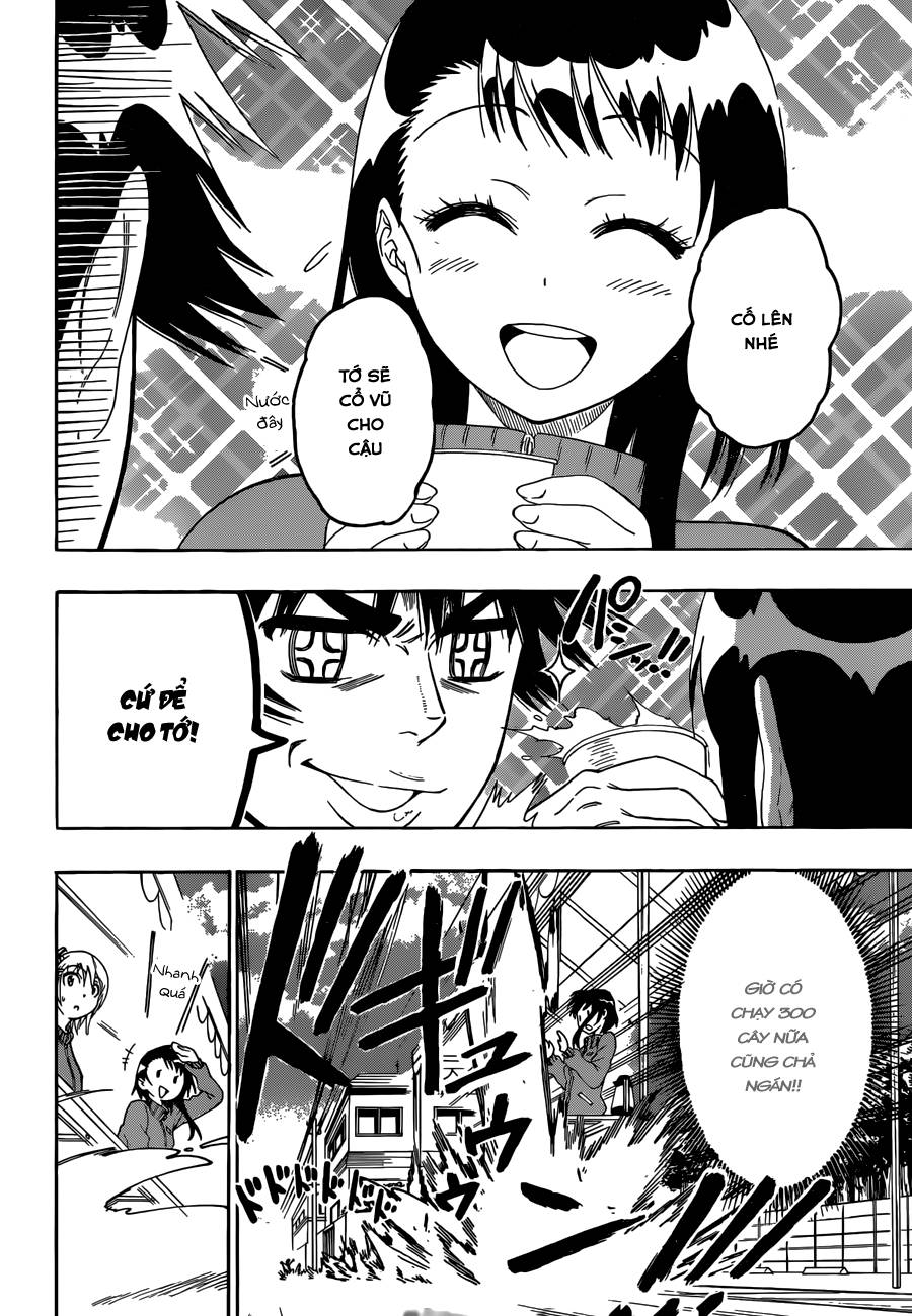 nisekoi - tình yêu giả tạo chapter 73 9
