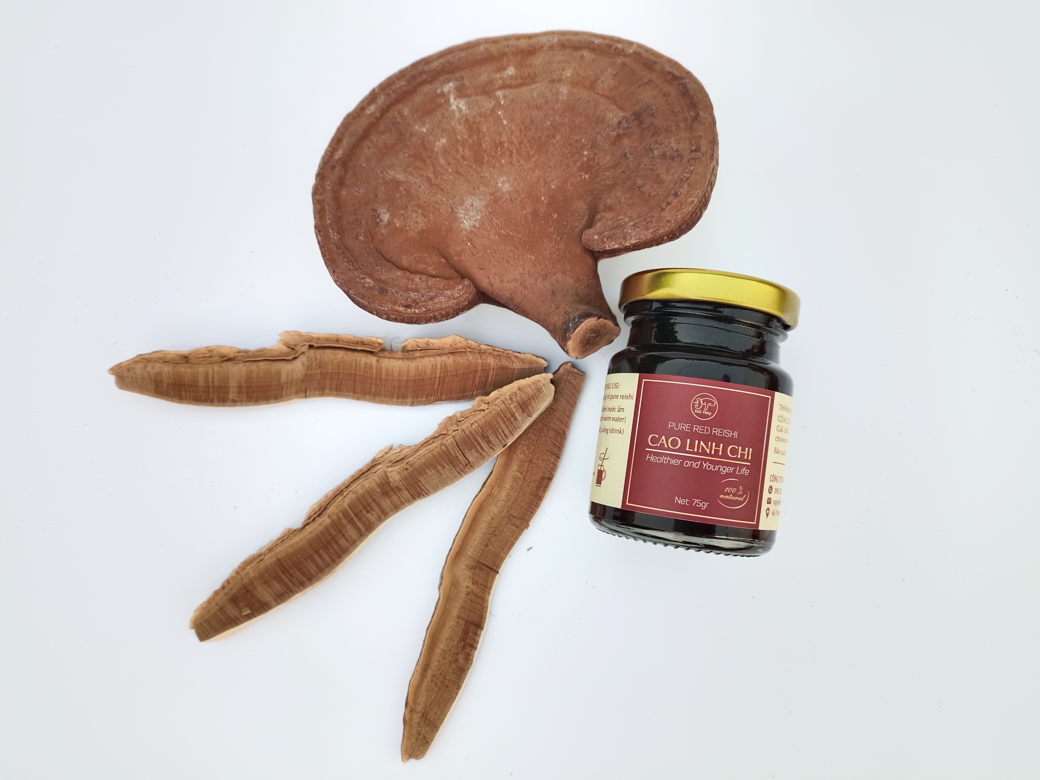 Trà Cao Nấm Linh Chi đỏ Đất Thép nguyên chất Hũ 75g - Giải độc gan - Ổn định đường huyết