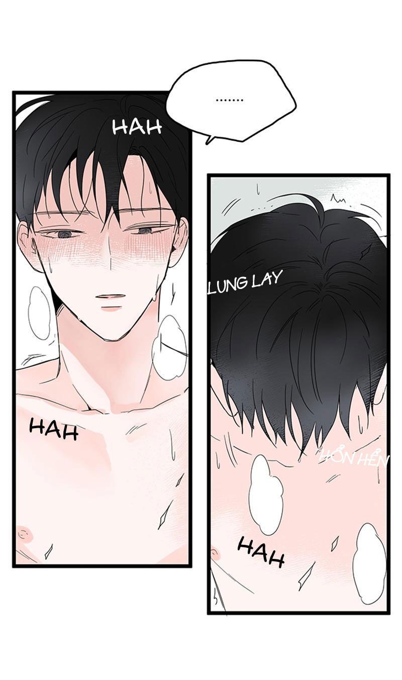 tình cờ yêu (full) chapter 5 38