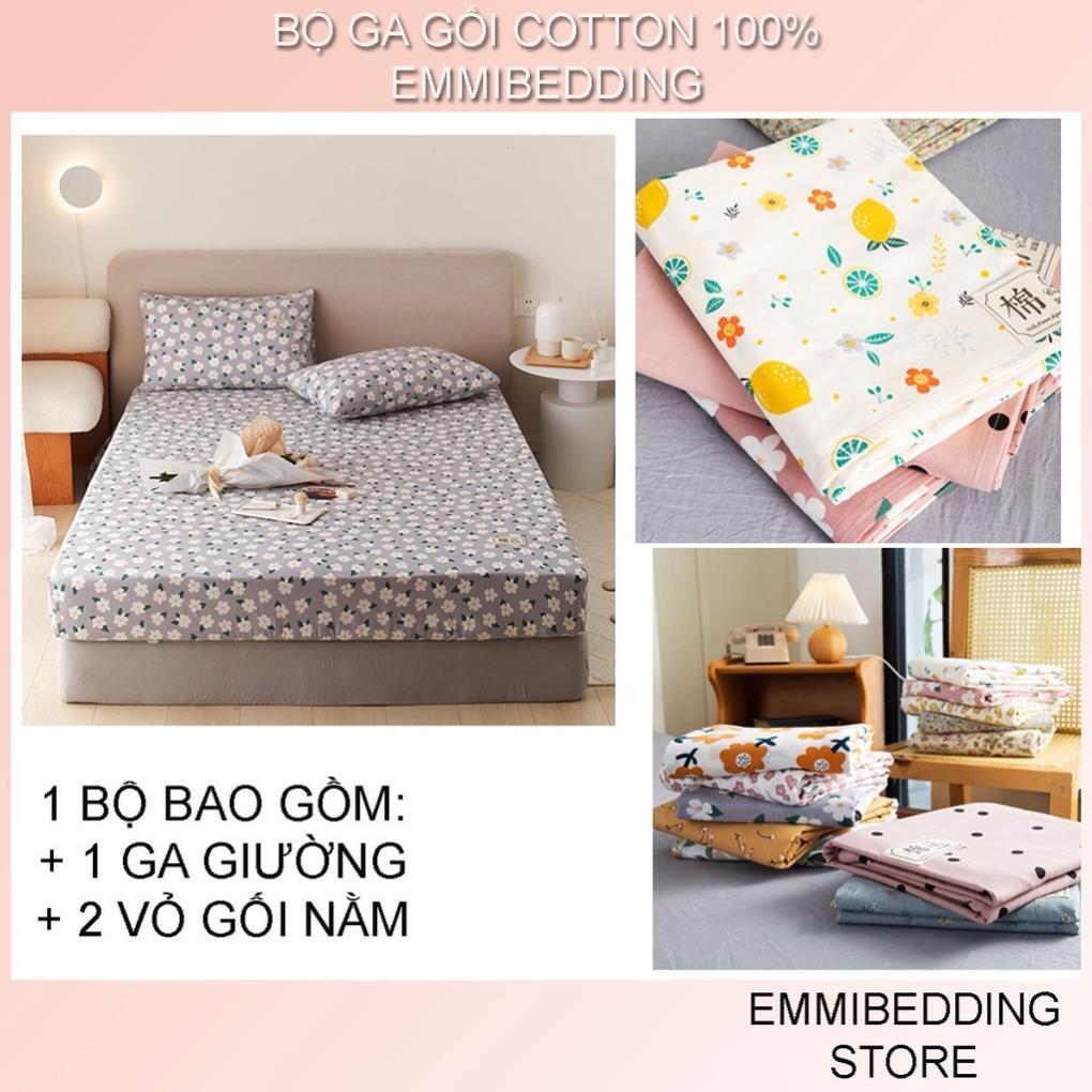 Bộ ga giường Store 100 % cotton, bộ ga chun và 2 vỏ gối miễn phí bo chun