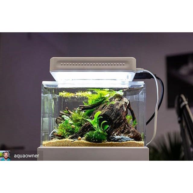 Bể cá siêu mini - Cunzo Mini Plastic Fish Tank