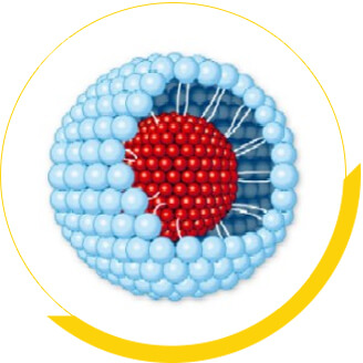 Curcumin nano