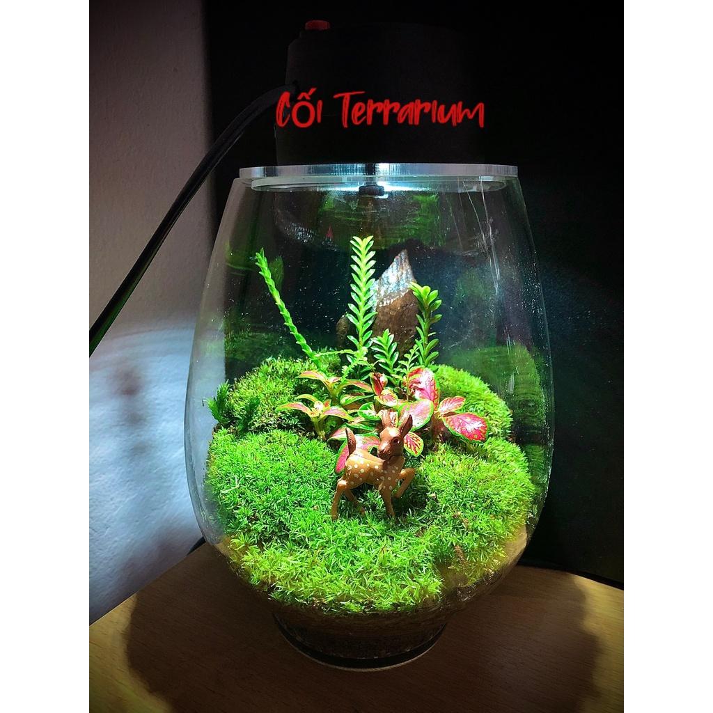 Tiểu cảnh mini ️ Mô hình con nai gặm cỏ trang trí tiểu cảnh sen đá, sân vườn, terrarium, bàn làm việc