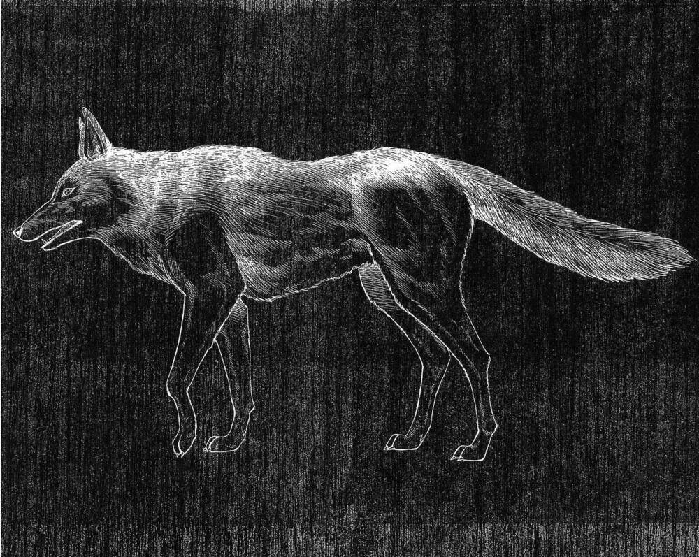 vua pháp thuật chapter 226 14