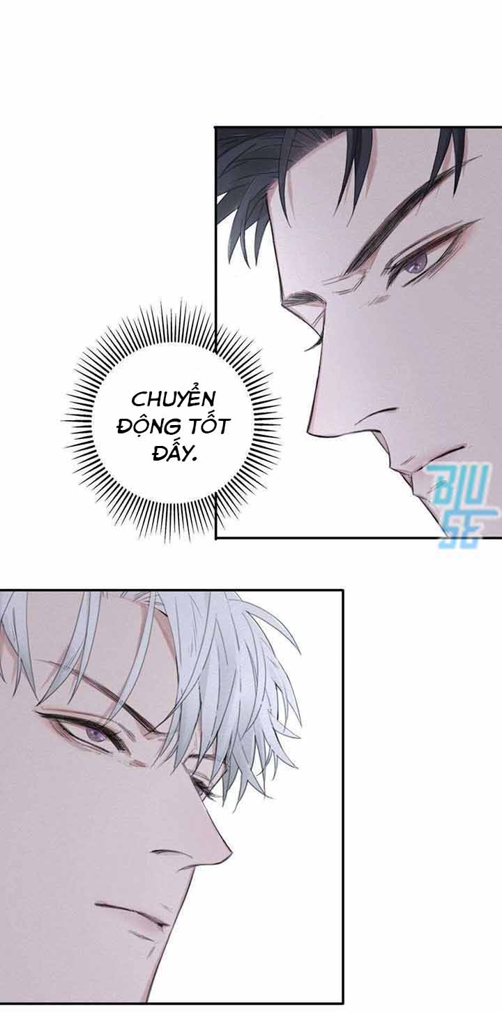 ở trong bóng tối chapter 5 24