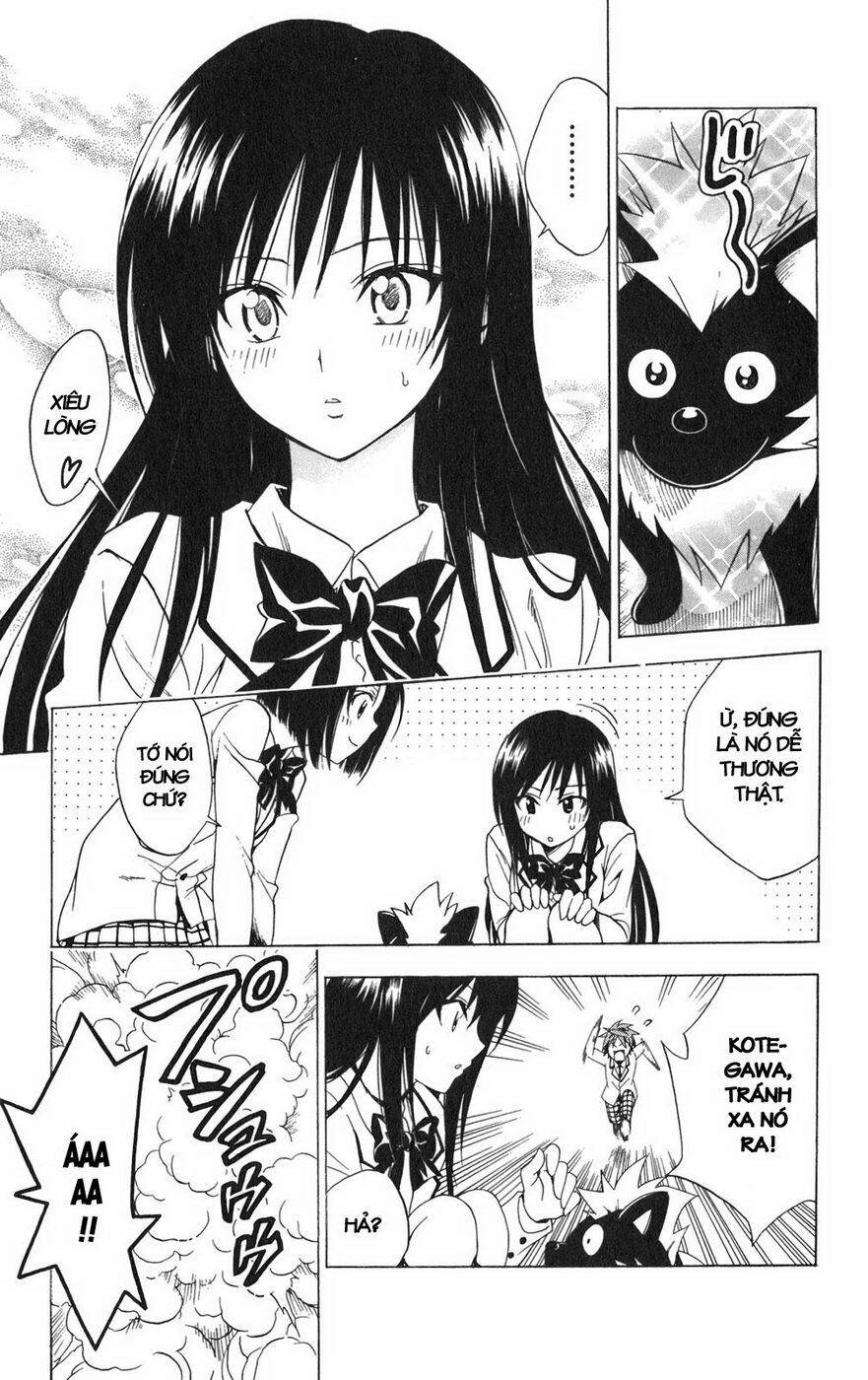 bọn tớ thích cậu! rito chapter 85 10