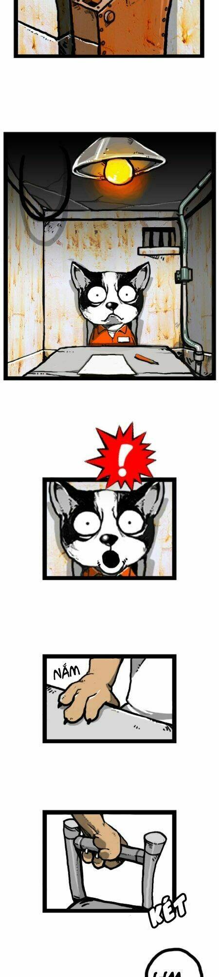 earth, human, and animal chapter 21 22