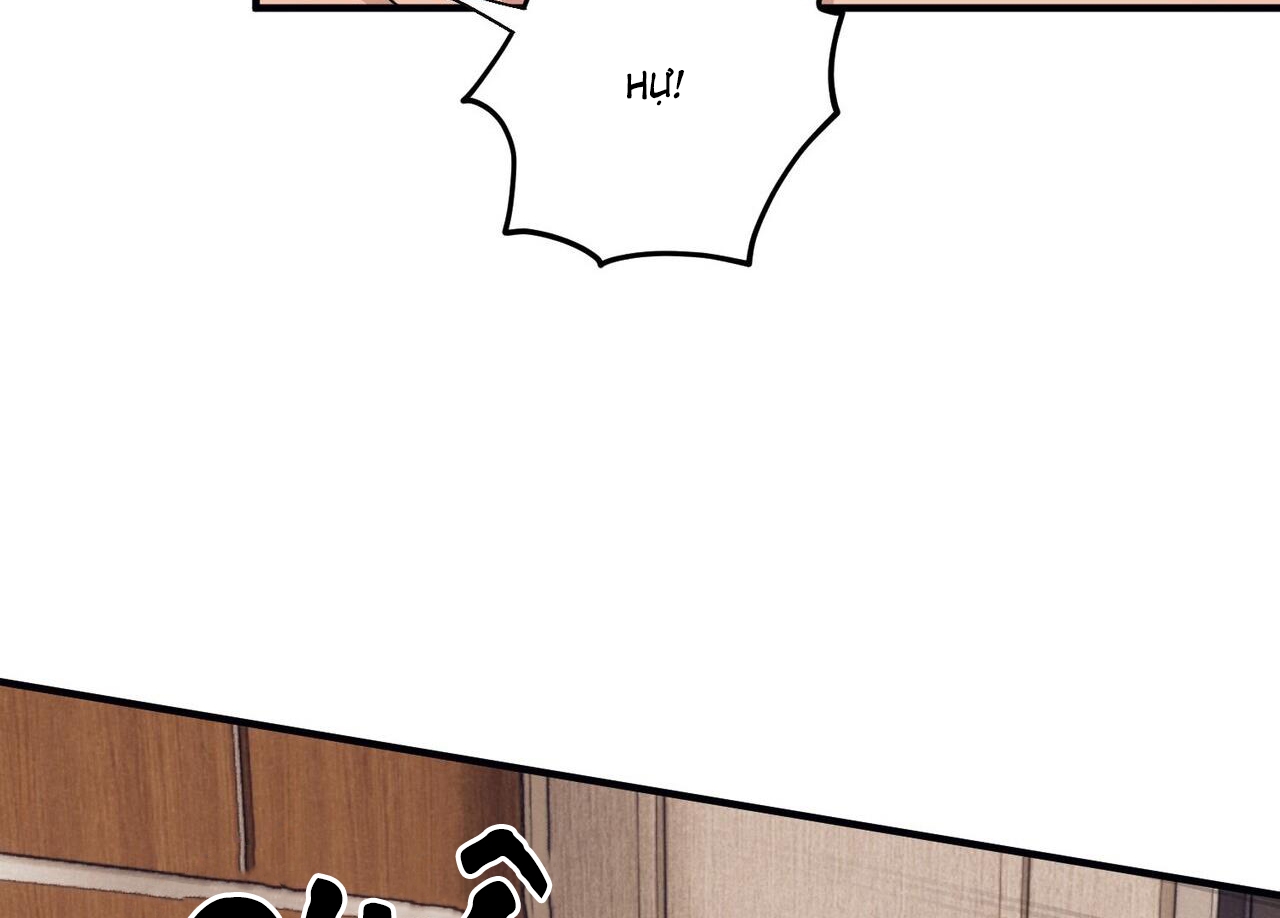 chàng dâu nhà họ kang chapter 44 142