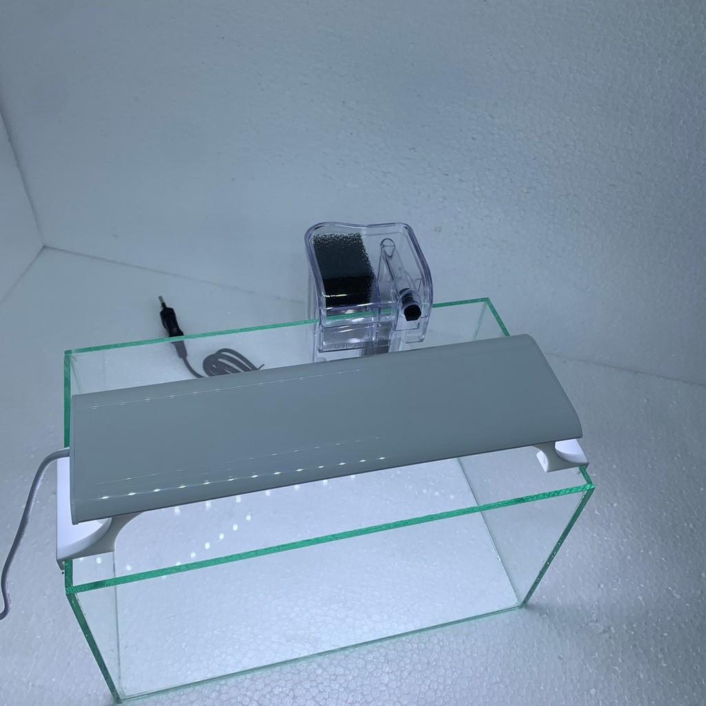 Bể cá mini COMBO ĐẦY ĐỦ, bể cá để bàn dùng nuôi kiểng hoặc thủy sinh