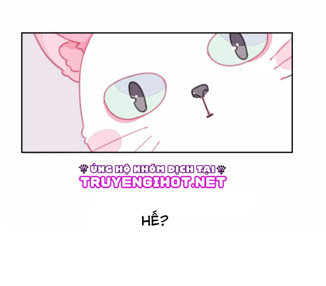 xã hội mèo chapter 1 8
