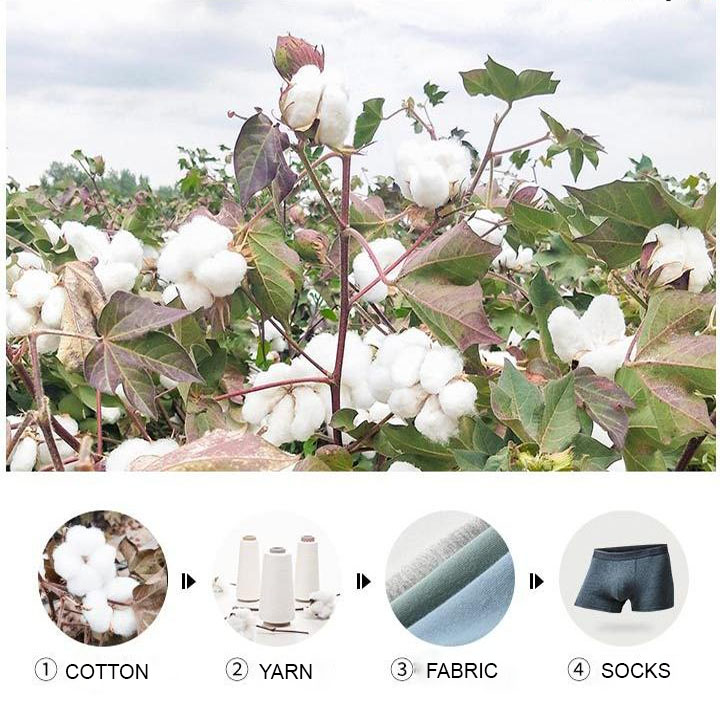 Hình ảnh Combo 4 quần lót nam cotton mềm mại bền đẹp thoáng mát, đàn hồi thoáng khí