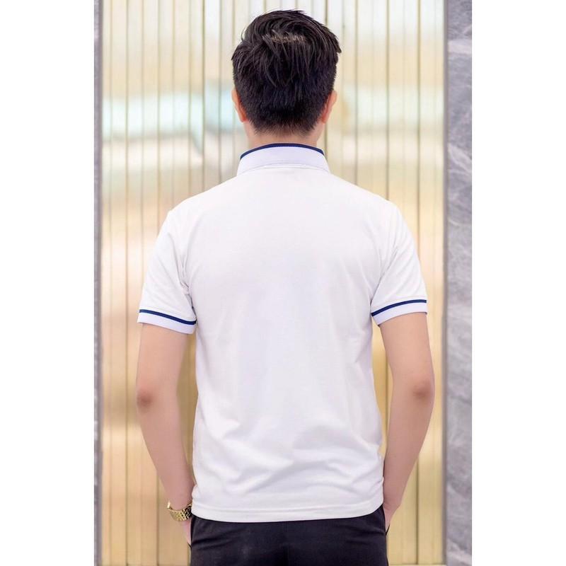 Áo Polo nam phối cổ bẻ Ampus vải cá sấu Cotton xuất xịn,chuẩn form trẻ trung, thanh lịch -POLO