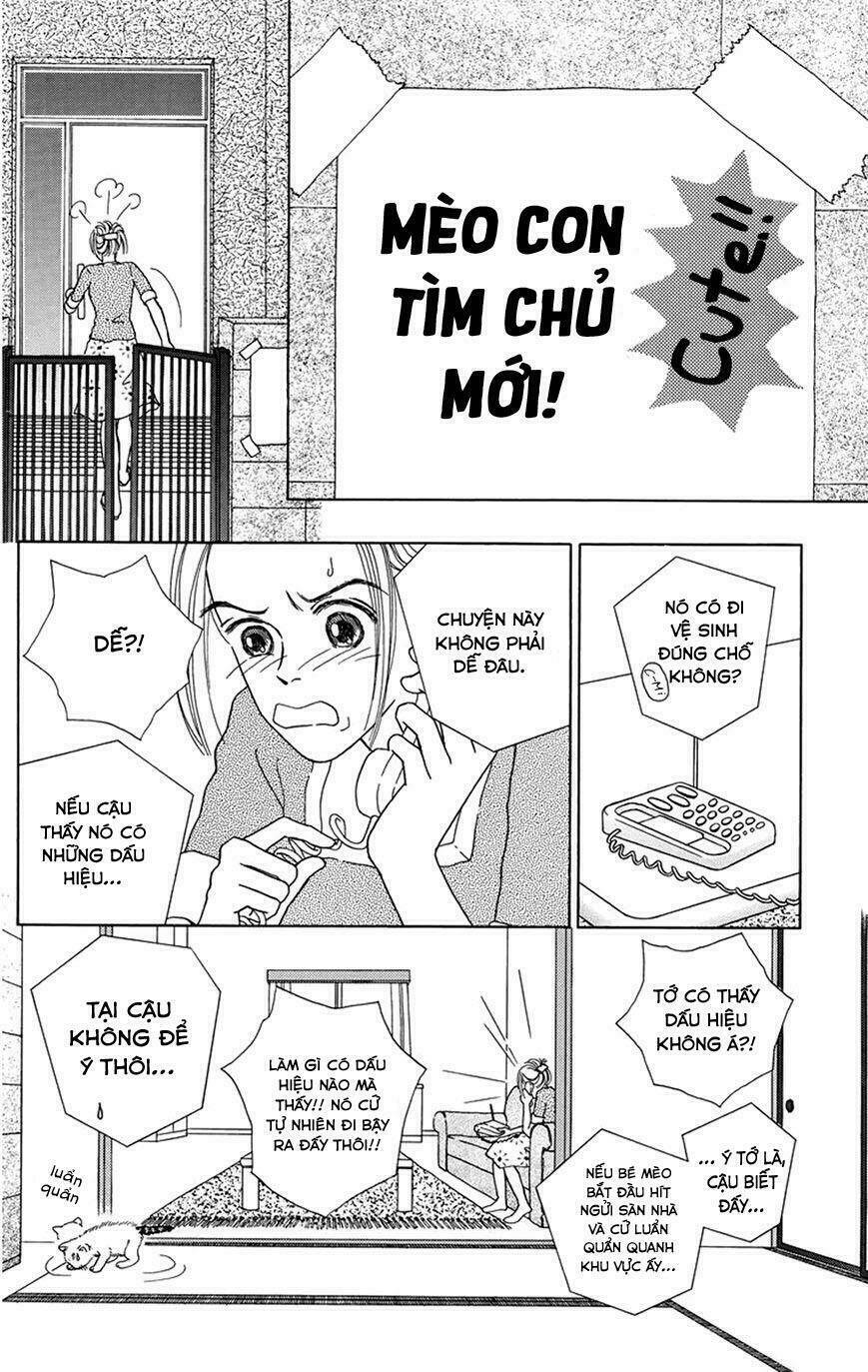 cuộc sống thường nhật của mèo zaccho chapter 1.5 14