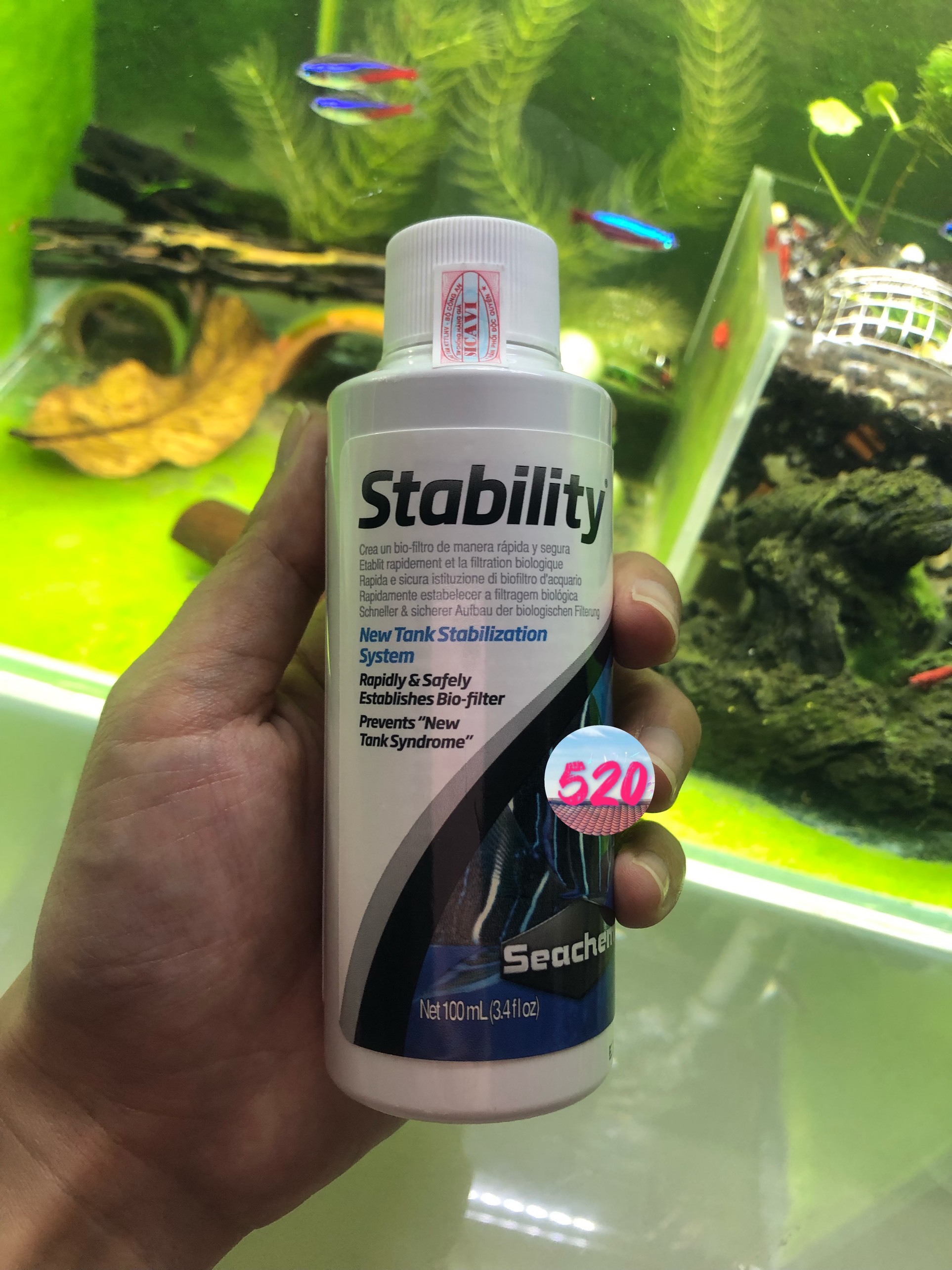 Seachem Stability 100ml - Vi sinh sống