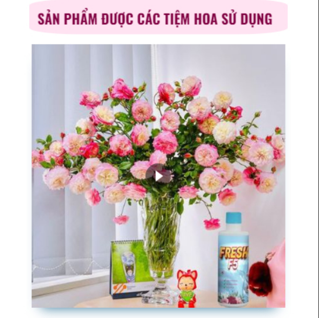 Nước Dưỡng Hoa, Nước Cắm Hoa Fresh F5 - Dưỡng Hoa Tươi Lâu Gấp 3 Lần, Giúp Hoa Nở Bung Luôn Tươi Mới