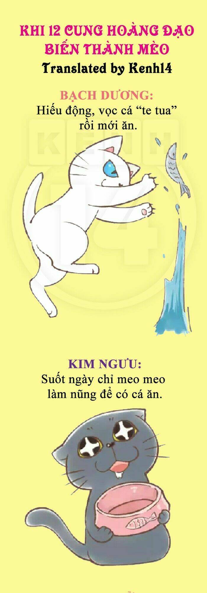 12 cung hoàng đạo vui chapter 36 12