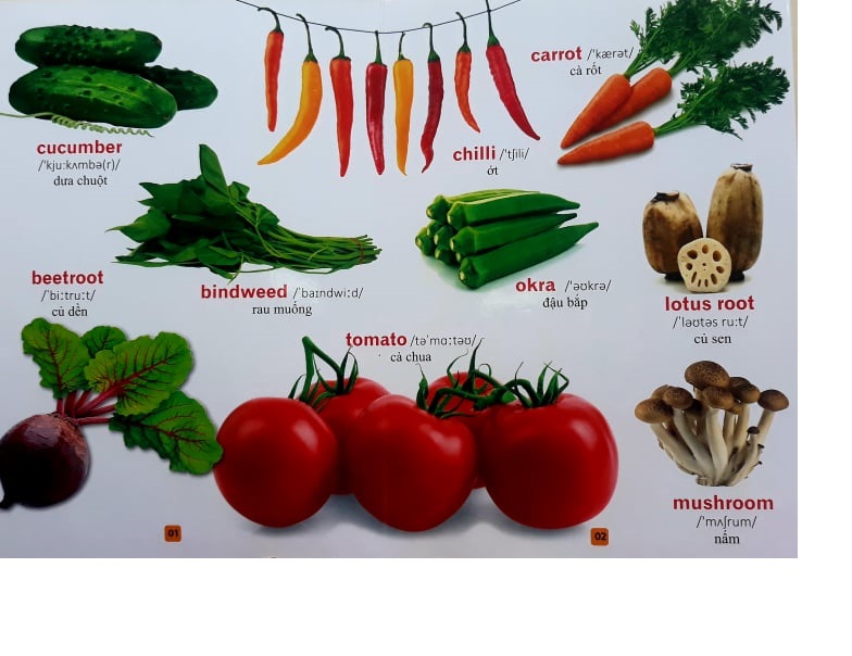 Bộ sách Từ điển bằng tranh: Phương tiện giao thông + Rau củ quả + Thế giới động vật