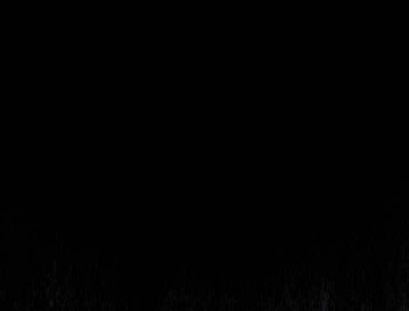 tôi thăng cấp trong lúc ngủ chapter 53 72