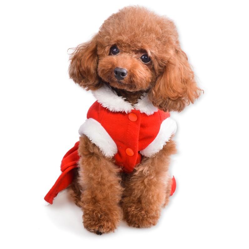 Viên dưỡng lông cho chó Poodle Hair Beauty giúp lông dày, bóng mượt, chắc khỏe rõ rệt sau khi sử dụng