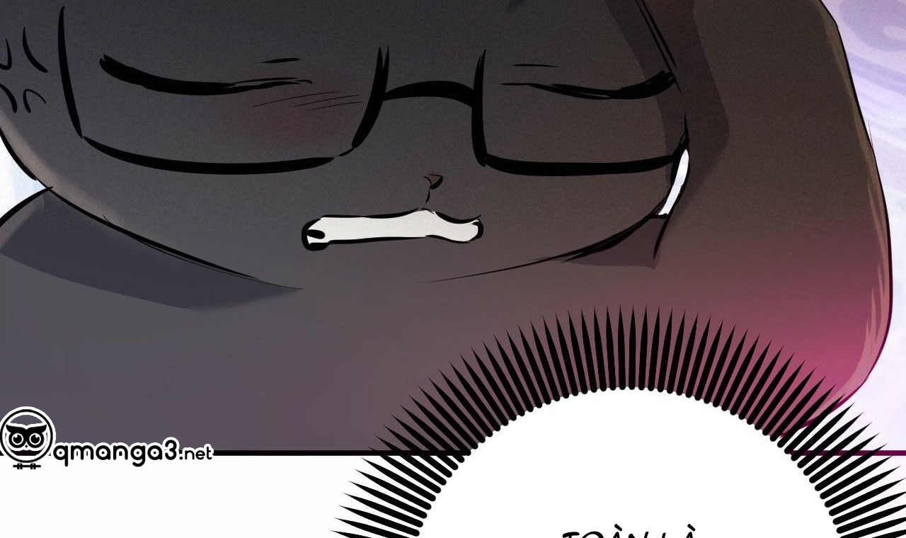 những chú thỏ của hapypy chapter 49 35