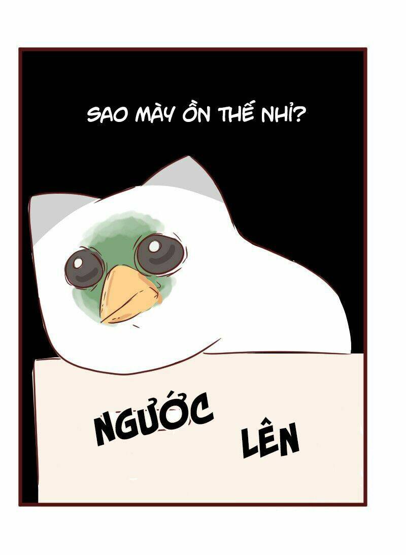 saphie: chú mèo một mắt chapter 29 10