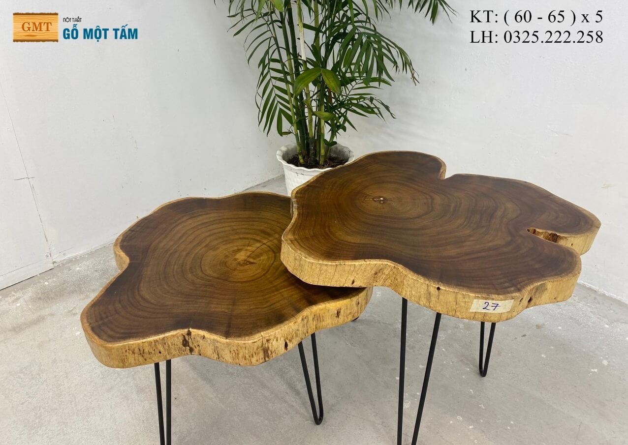 Mặt Bàn Tròn Gỗ Tràm Vàng, Bàn Cafe Gỗ Tự Nhiên, Bàn Sofa Gỗ Tràm Rộng 65cm Dày 5cm