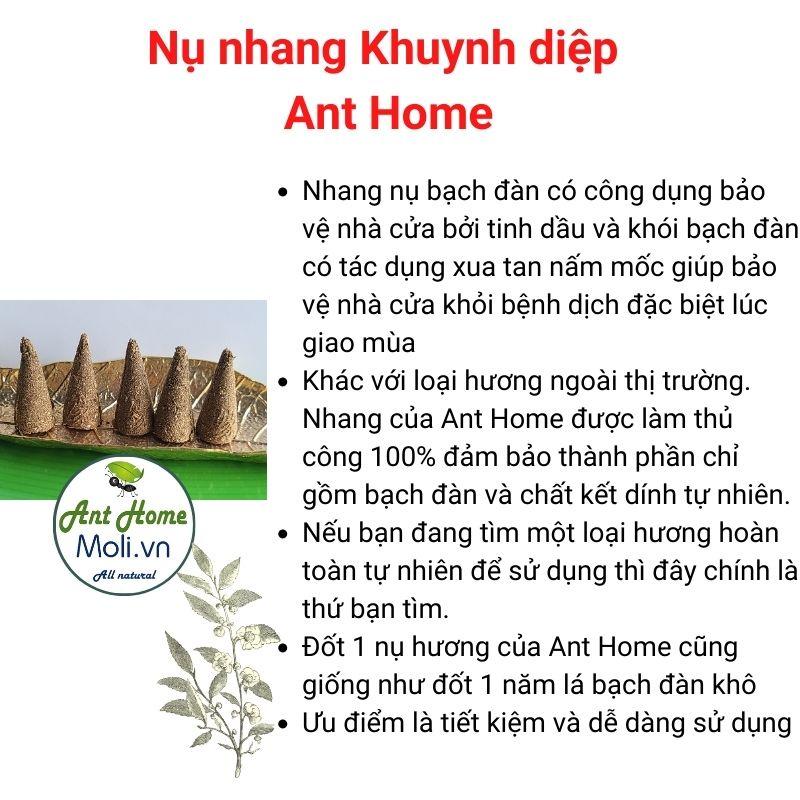 10 Nụ nhang khuynh diệp thanh tẩy và bảo vệ nhà cửa tặng đĩa sò