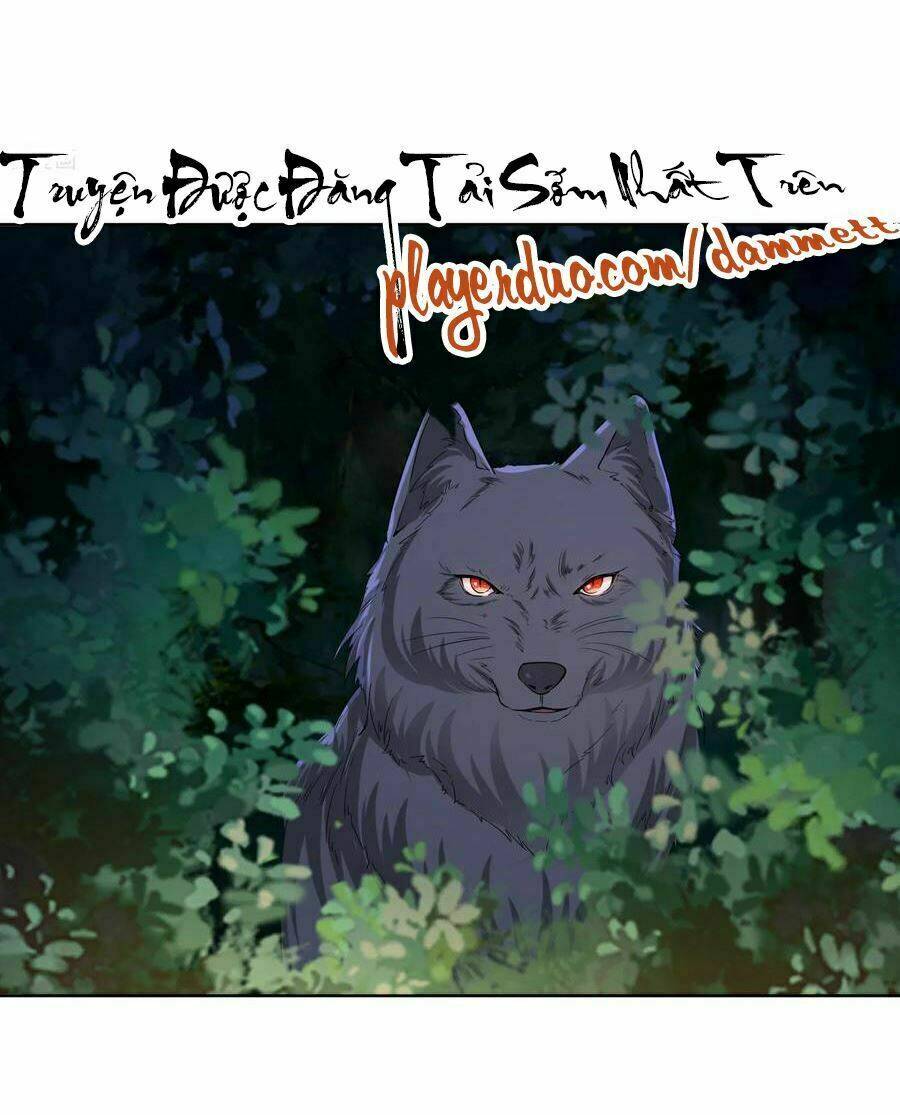 độc y đích nữ chapter 146 10