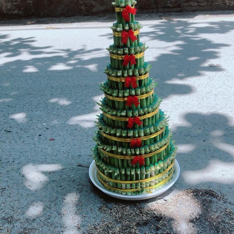 Trúc Phát Tài 9 Thân Kèm Dĩa