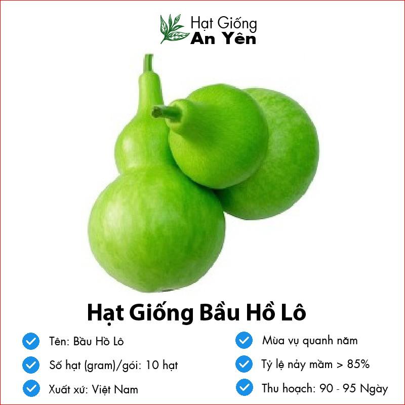 Hạt giống Bầu Hồ Lô thu hoạch sớm, dễ trồng, nảy mầm cao, sinh trưởng khoẻ