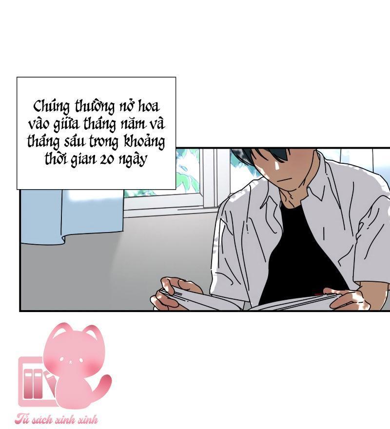 xin chào, mùa hạ chapter 3 46