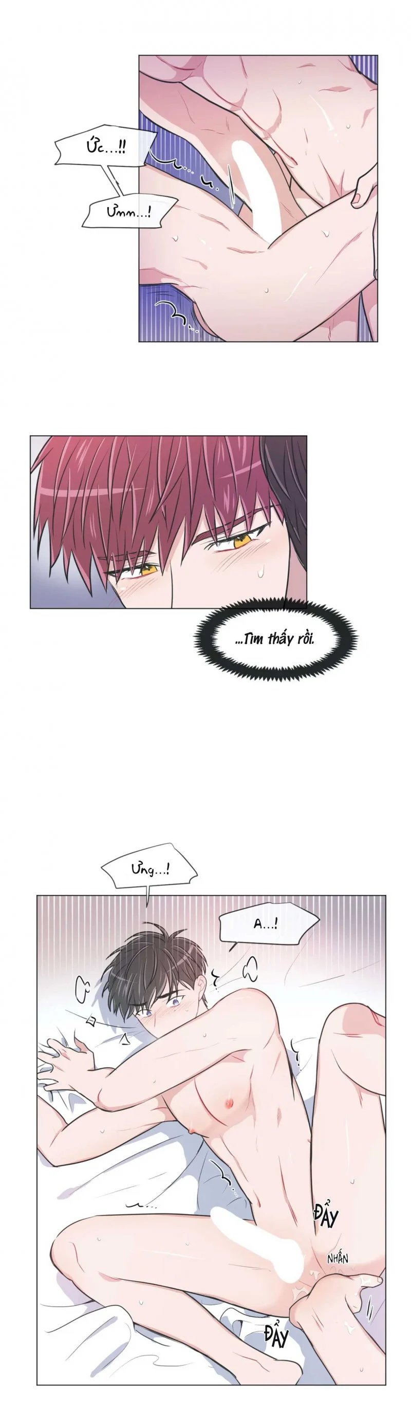 anti p.t chapter 55 2