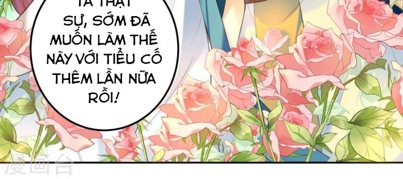 vương gia, áo lót của ngươi rơi mất rồi chapter 60 46