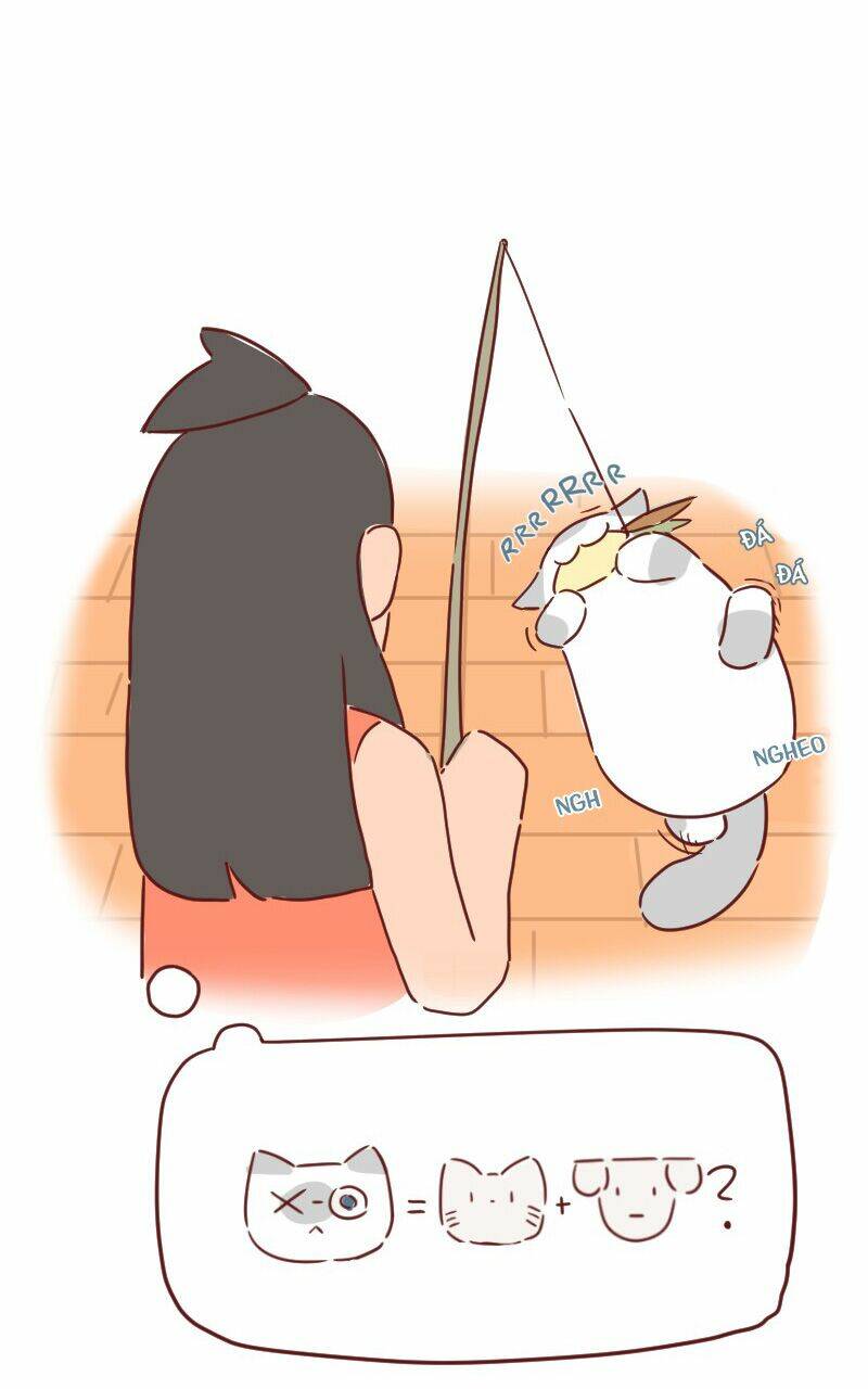 saphie: chú mèo một mắt chapter 27 9