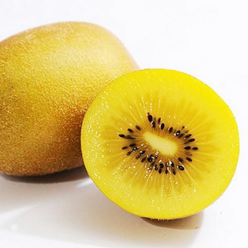 Cây giống KIWI ruột Vàng .