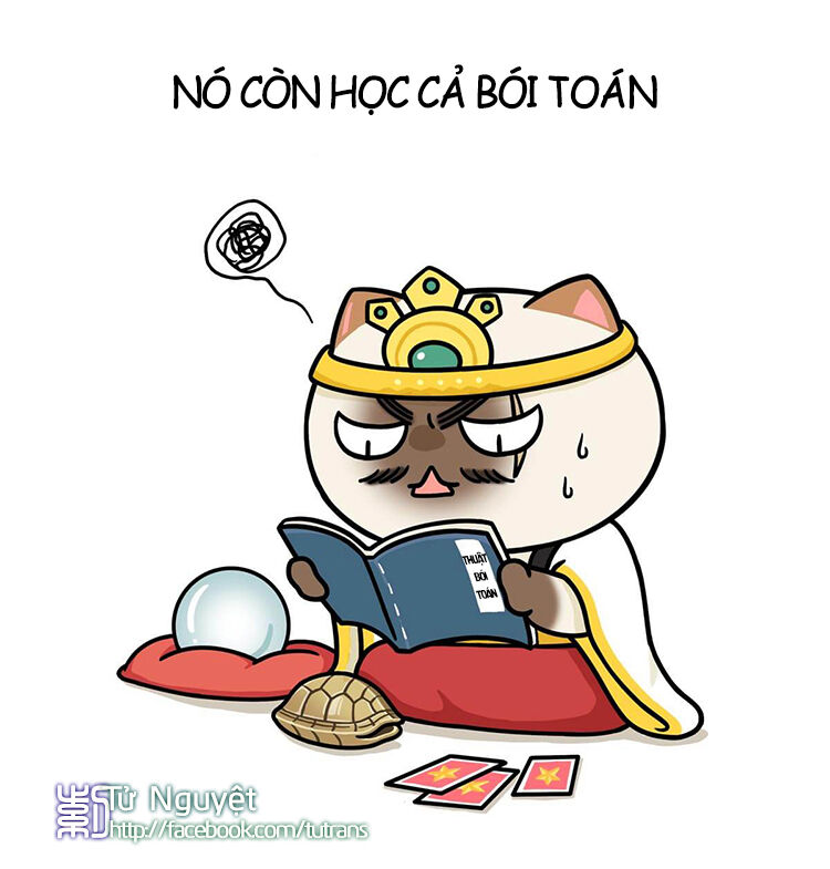 nếu lịch sử là một bầy mèo chapter 10 27