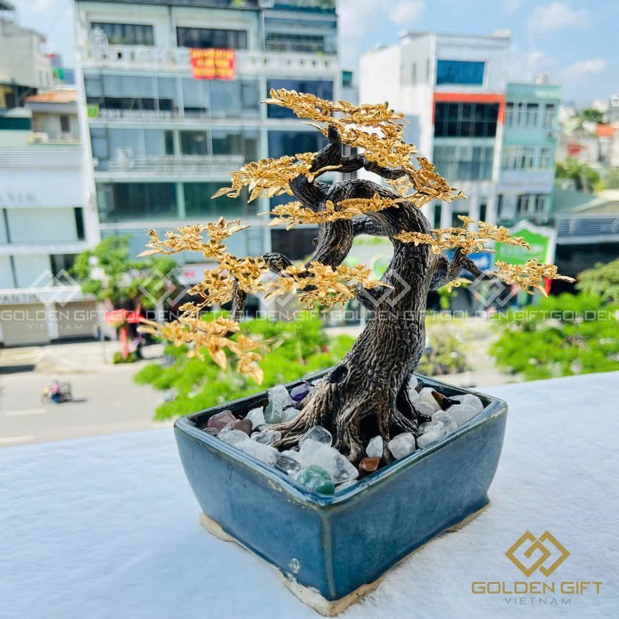 Cây Hoa Mai Ngũ Phúc