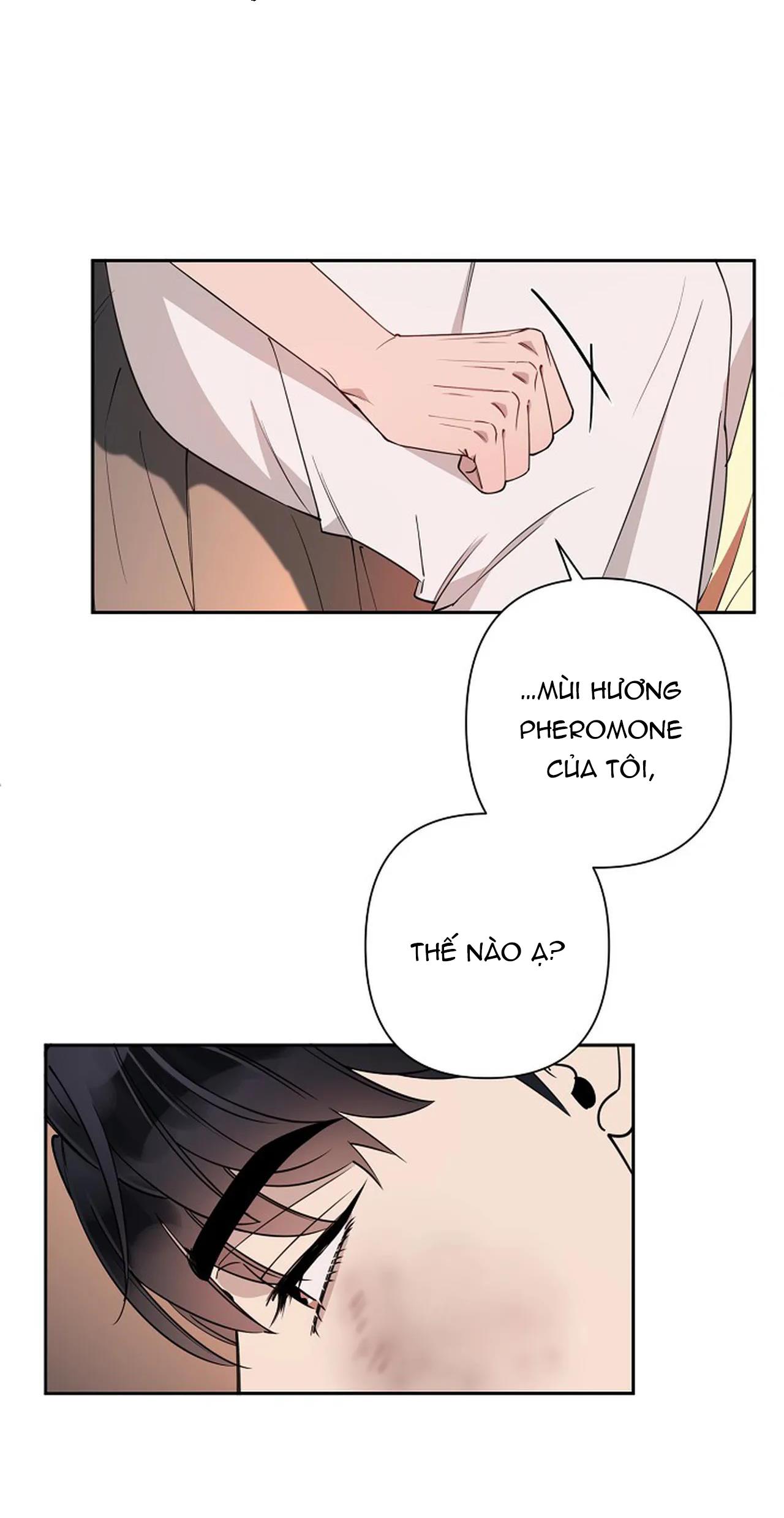 đêm dịu dàng chapter 15 35