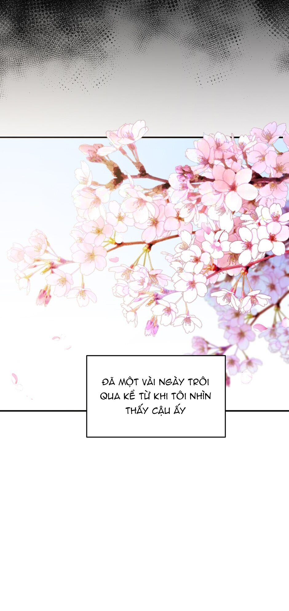 [16+] killing my love chapter 30.2 10