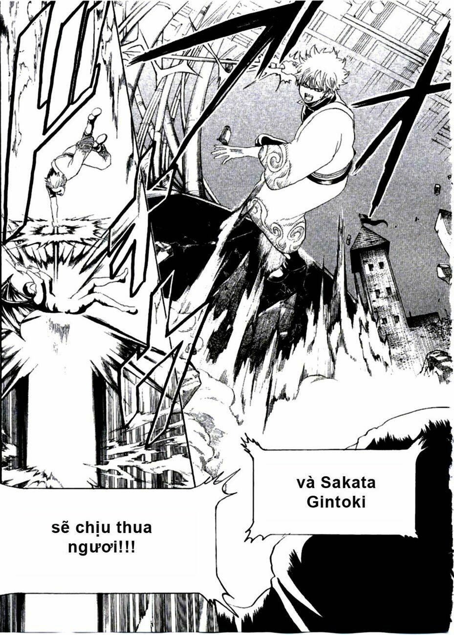 gintama - linh hồn bạc chapter 251 16