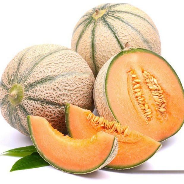 Hạt dưa lưới melo ruột vàng
