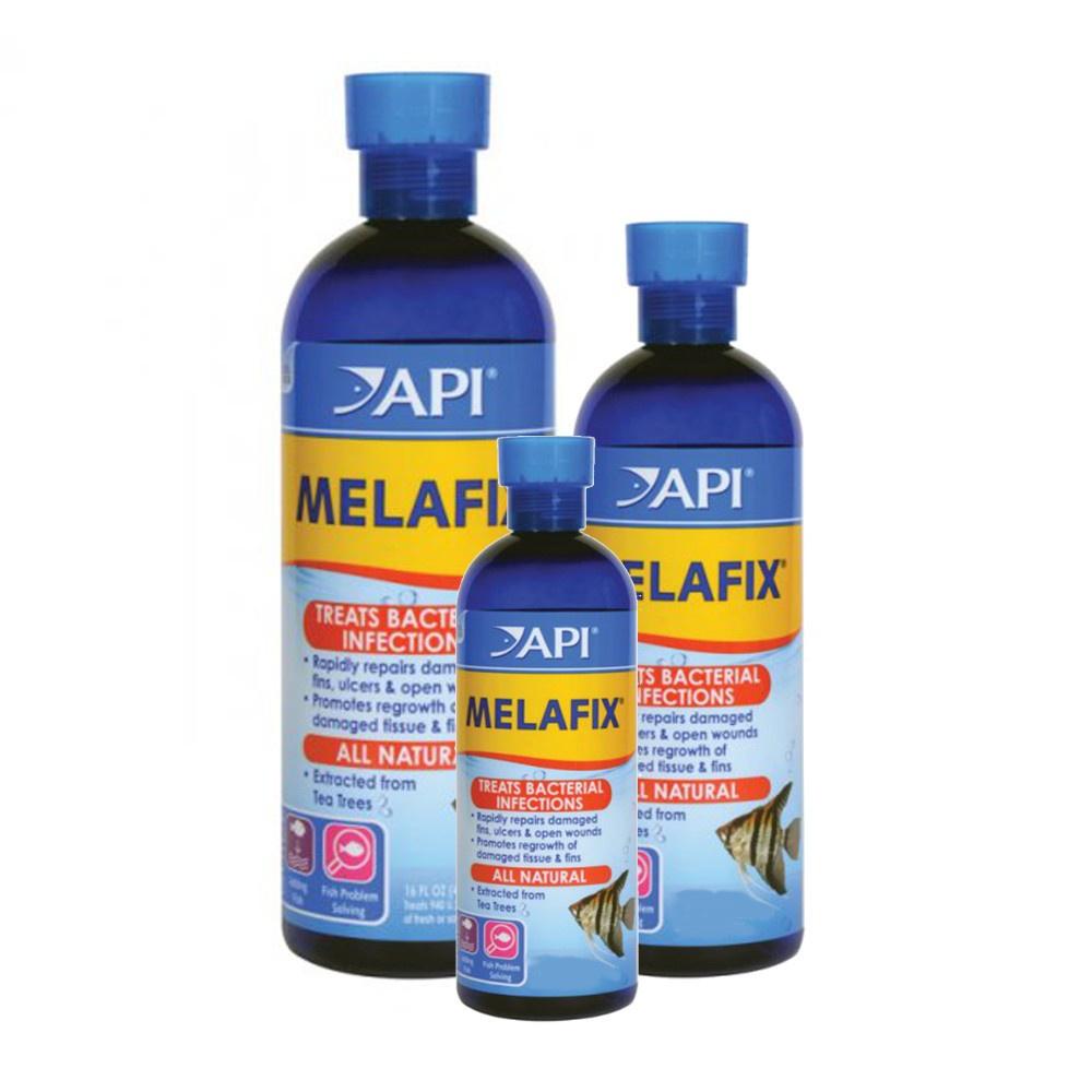 API Melafix - Thần dược sát khuẩn và trị ký sinh trùng cá cảnh