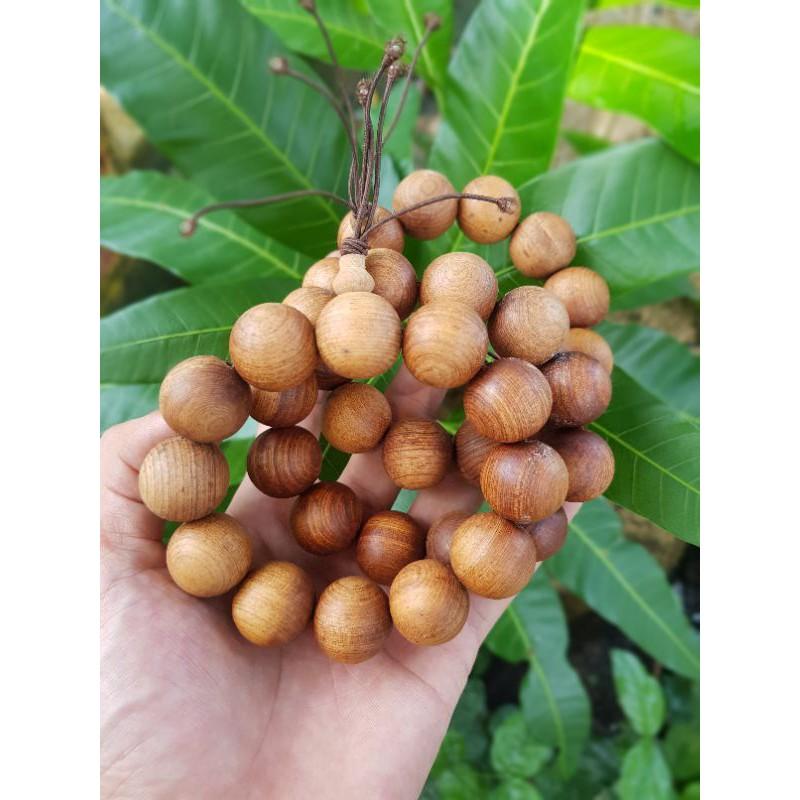 Vòng tay nam hạt tròn 20 ly GỖ Ngọc Am