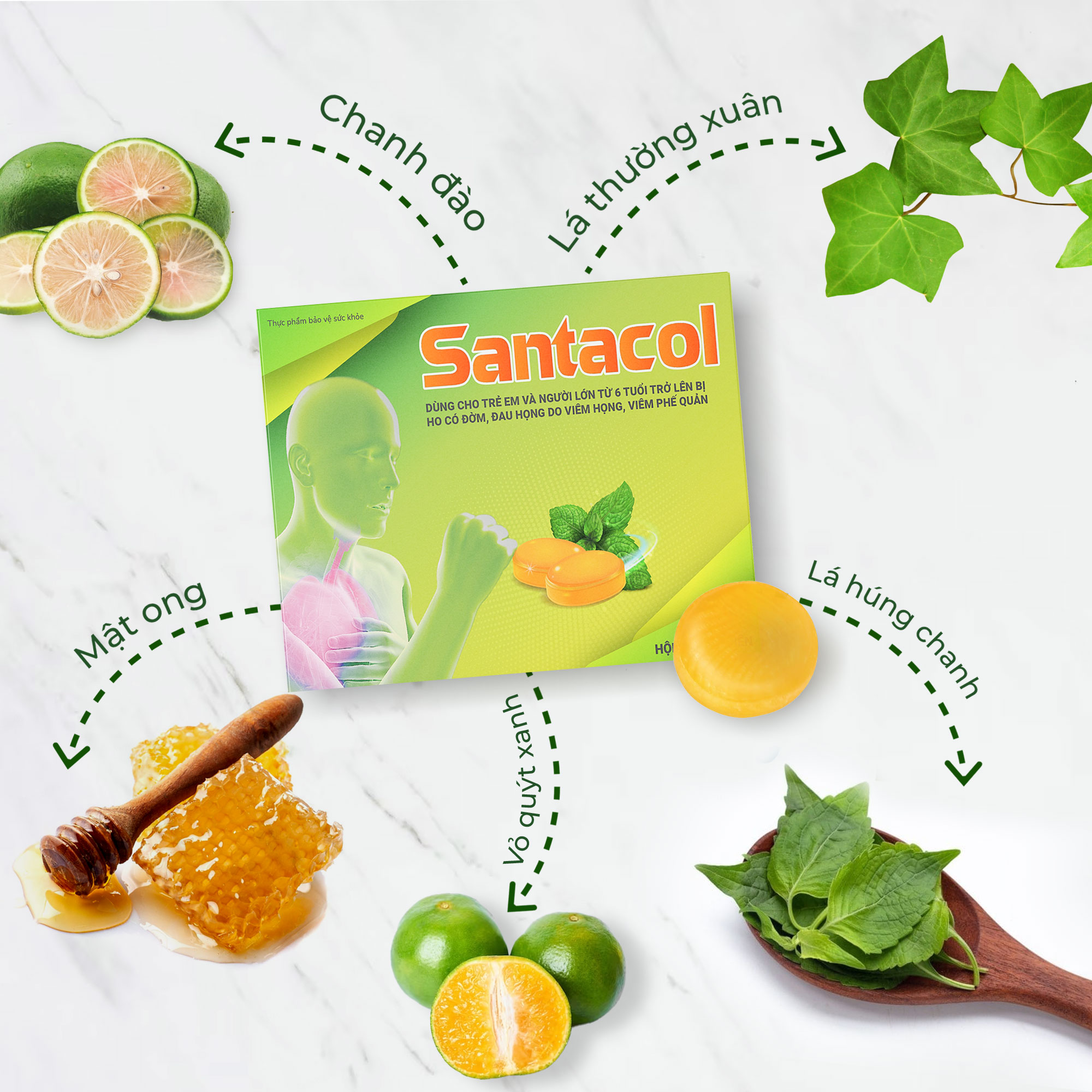 Viên Ngậm Ho Hỗ Trợ Giảm Đờm Giảm Đau Họng Do Viêm Họng & Viêm Phế Quản Santacol Hộp 24 Viên