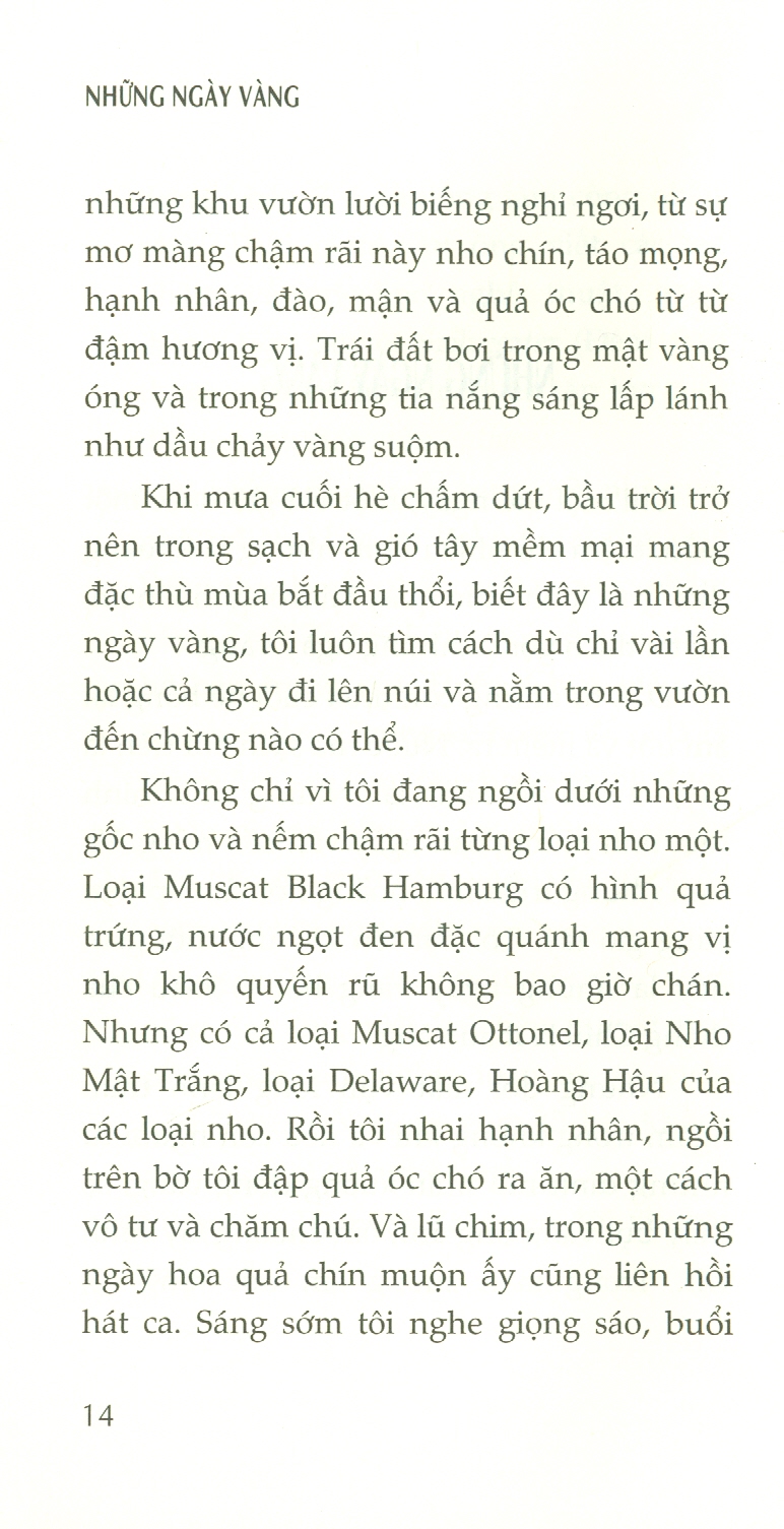 Những Ngày Vàng - Hamvas Béla - Nguyễn Hồng Nhung dịch - (bìa mềm)