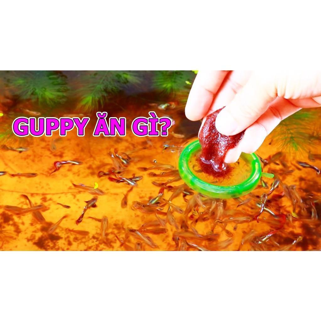 Clear master - siêu lọc nước