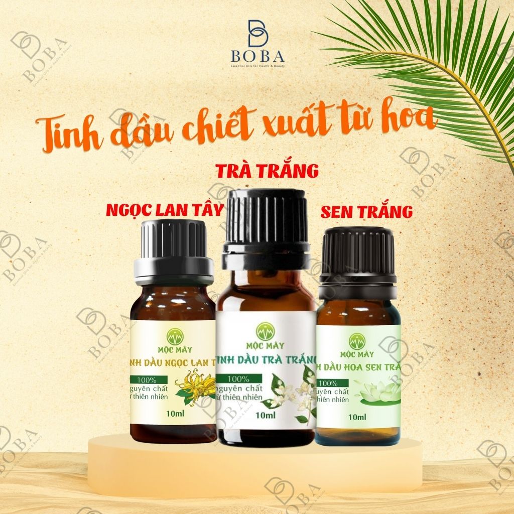 (HCM) Combo 3 Mùi Tinh Dầu, Tạo Hương Thơm, Khuếch Tán Mùi Hương, Làm Sạch Không Khí - BOBA NATURALS