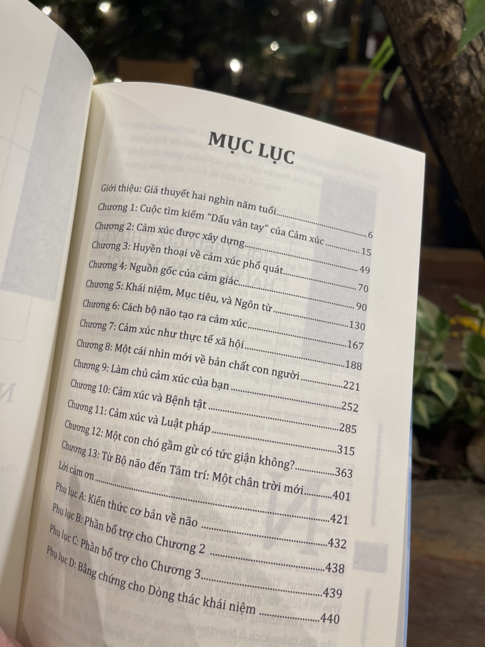 Bộ tứ Ma trận truyền thông: Nguồn gốc cảm xúc - Bí ẩn sống động của bộ não – Lisa Feldman Barrett - Phương Mạnh dịch – Lyceum – Nxb Dân Trí